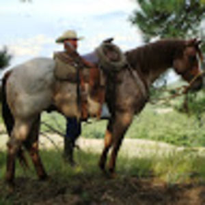 Meet your Posher, Keela